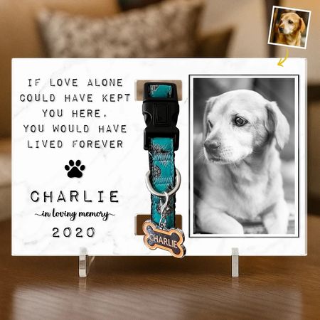 Custom Photo Collar Plaque With Stand - Personalized Pet Memorial Sympathy Gifts For Dogs, Cats - Until We Meet Again In Heaven